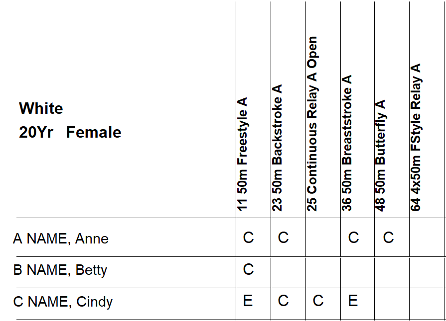 Sample Entry Sheet